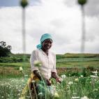 Proyectos Documentales: Vito Fusco (Italia)
