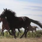 5c8b7b8e2500000704cac857