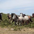 5c8b7b8f3b000070066db252