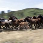 5c8b7b90230000dd0424d932