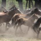 5c8b7b90230000dd0424d934