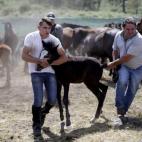 5c8b7b91200000430470e03c