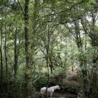 5c8b7b912300005400e84f2f