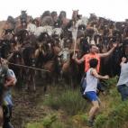 5c8b7b912000009d0370e03e