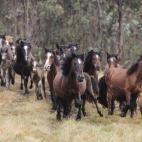 5c8b7b9222000030001b05bd