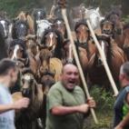 5c8b7b922400004205a4d526