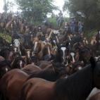 5c8b7b933b000070066db25a