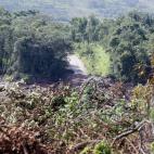 Destrozos por la rotura presa en Brasil.