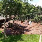 Destrozos por la rotura presa en Brasil.