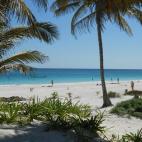 5c8aa0af2300000401235f1d