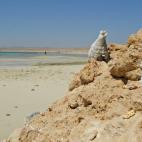 5c8aa0b0240000f404a35a10