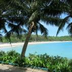 5c8aa0b12300005300e6d6b8