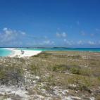 5c8aa0b22000009e046f6b36