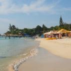 5c8aa0b33b000037066c3d8c