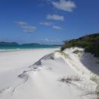 5c8aa0b72500000d04c94f9a