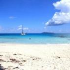 5c8aa0b92300003000e6d6c2