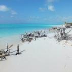 5c8aa0ba360000ba1a6bbcfd