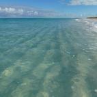 5c8aa0bc2500000704c94fa4