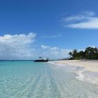 5c8aa0bc2400006d054c1eeb