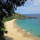 5c8aa0bc20000043046f6b50