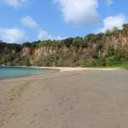 5c8aa0bc2300000401235f37