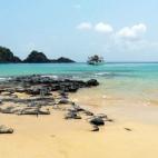 5c8aa0bd2300007f01235f39