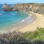 5c8aa0bd2500001304c94fa8