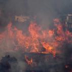 5c8ad2fb20000045046fd191