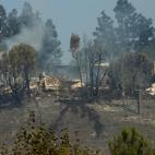 5c8ad30d20000045046fd1a7