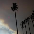 5c8ad313230000040123c6fe