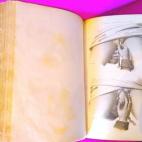 Nuevas demostraciones de partos, de J.l Maygrier y Losé de Lletor Castroverde, escrito en 1828 en París y México. Gran folio, 85 páginas. "Bellas estampas grabadas de extrema belleza sobre el arte mas antiguo del mundo, la vida y la procreac...