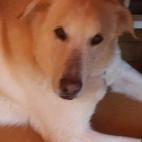 Y como nota de color... "Me llamo tron, te gustaría acerte una foto conmigo?".