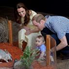 5c8a84903b000072066c11f2