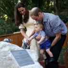 5c8a84942300003000e6a9a3