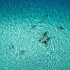 Primer premio en categoría 'naturaleza': Polinesia Francesa