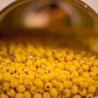 5c8acc2e360000e01c6c1745