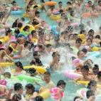 5c8b5ee92400000a05a48aca