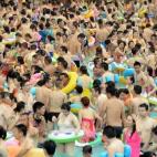 5c8b5eea2300005300e805ef