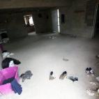 En la casa se halló mobiliario, enseres y otros objetos que indican que había presencia de trabajadores o vigilantes.