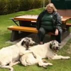 ¿Qué es más grande que un lobero irlandés? ¡Dos! La raza es conocida como el "gentil gigante". Los machos pesan un promedio de 54 kilogramos y miden casi 80 centímetros. Son los más altos de esta raza.