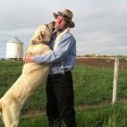 Este canino de pelo corto y cuerpo largo es considerado el perro nacional de Turquía: incluso aparece en los sellos postales de ese país. Un macho adulto pesa alrededor de 58 kilos y puede correr a una velocidad de hasta 48 km/h. Además, pare...