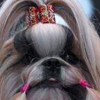 5c8ac740230000040123b046