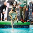 5c8ac7412000009d036fbae3