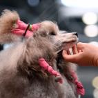 5c8ac7422400006c05a3abb6