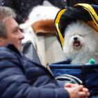 5c8ac7432400000a05a3abb8