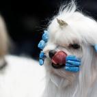 5c8ac744240000f404a3abbe