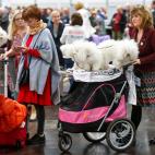 5c8ac745250000e203c9a12c