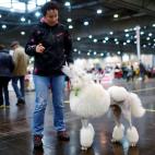 5c8ac7472000009e046fbaf3