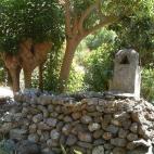 5c8b6b2b360000a61b6d0863