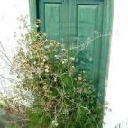 5c8b6b2c2000009d0370b5ee